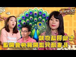 風水 孔雀